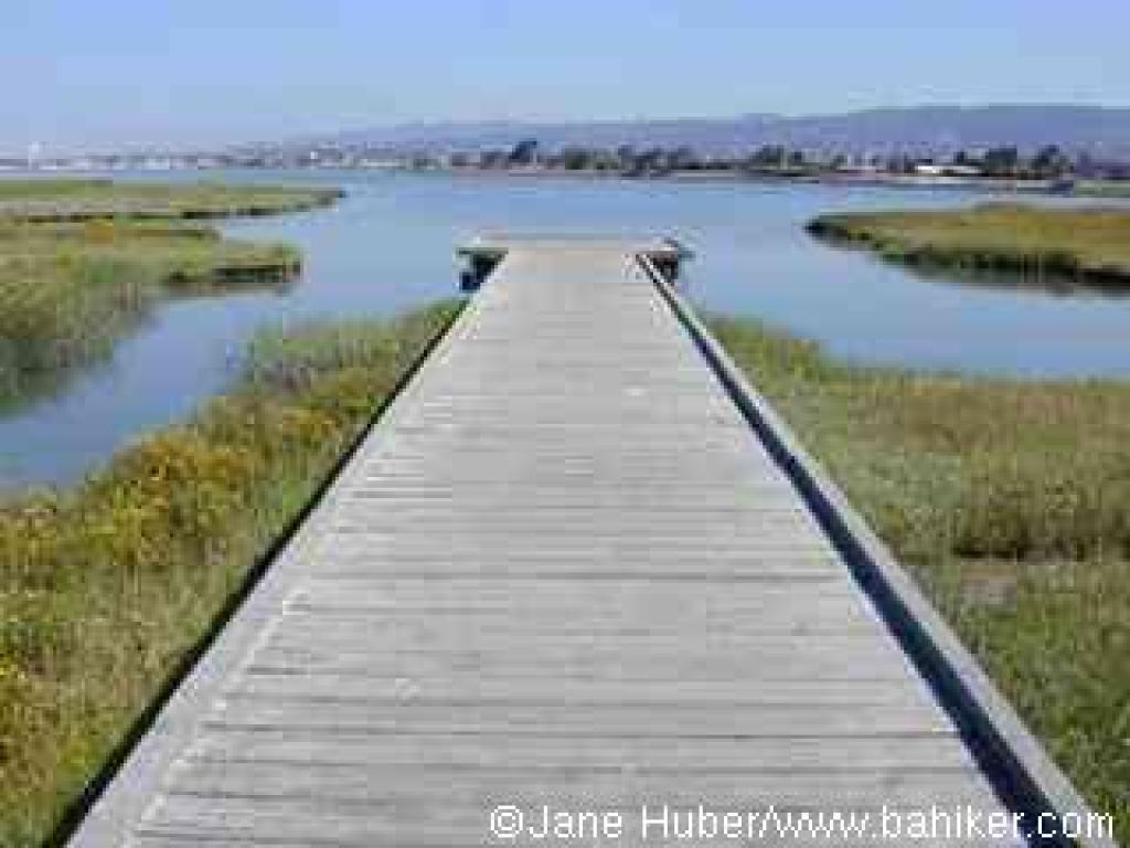 Boardwalk