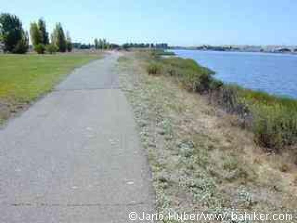 Arrowhead Marsh Trail