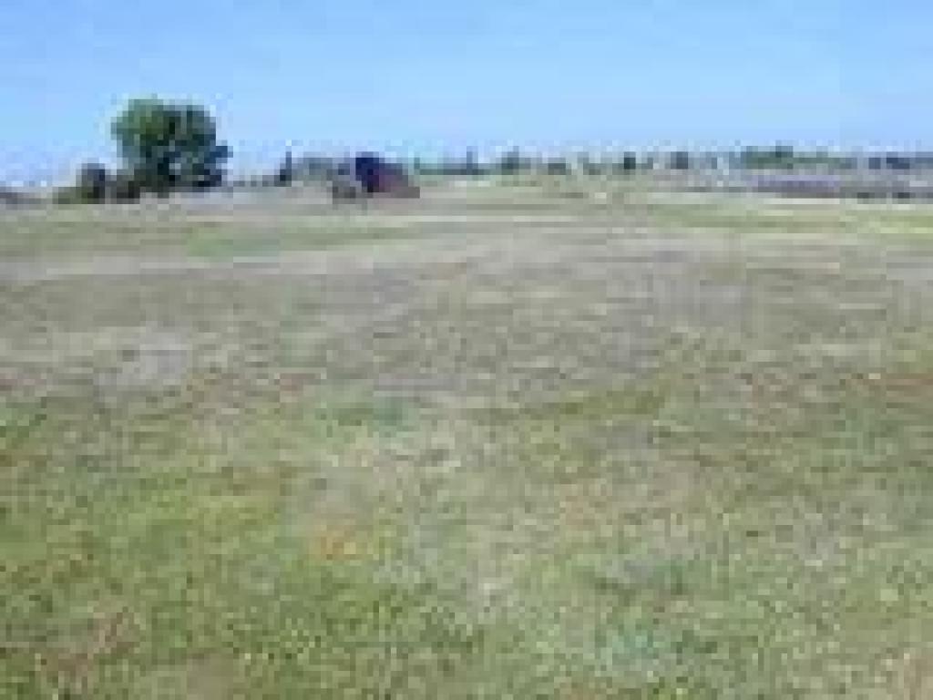 Lawn