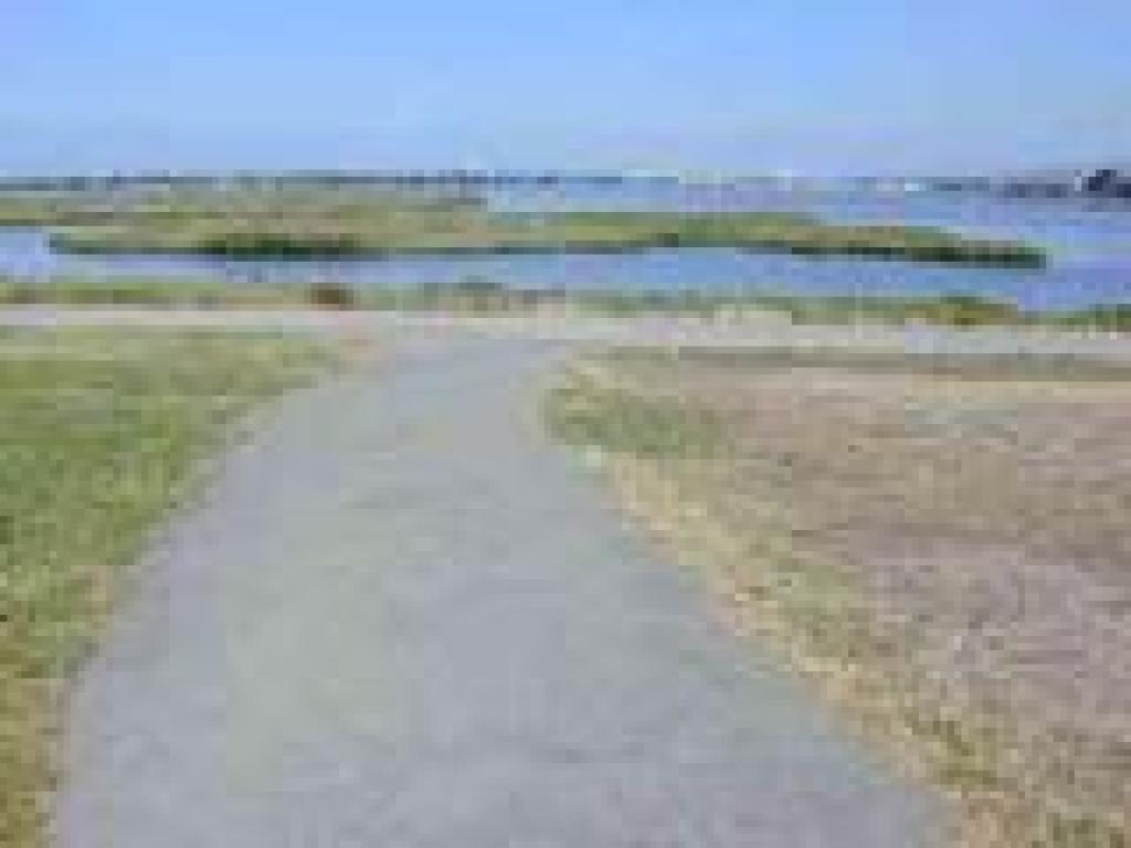 Path