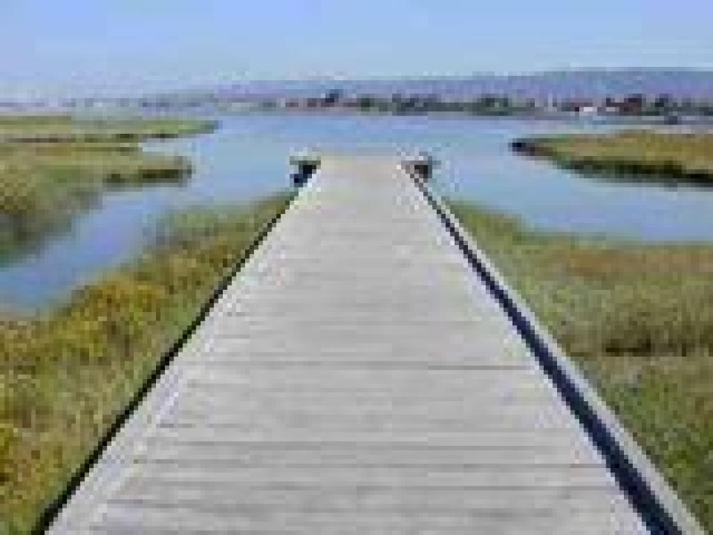 Boardwalk