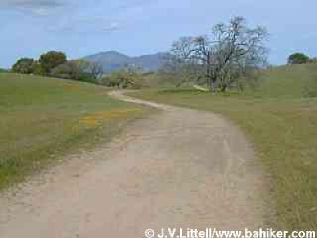 Blue Oak Trail