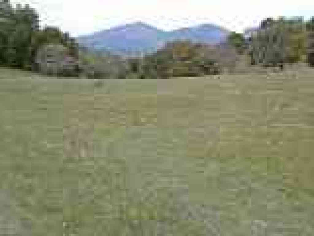 View to Mount Diablo
