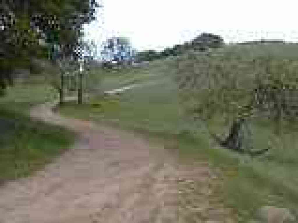 Passing fruit and walnut trees