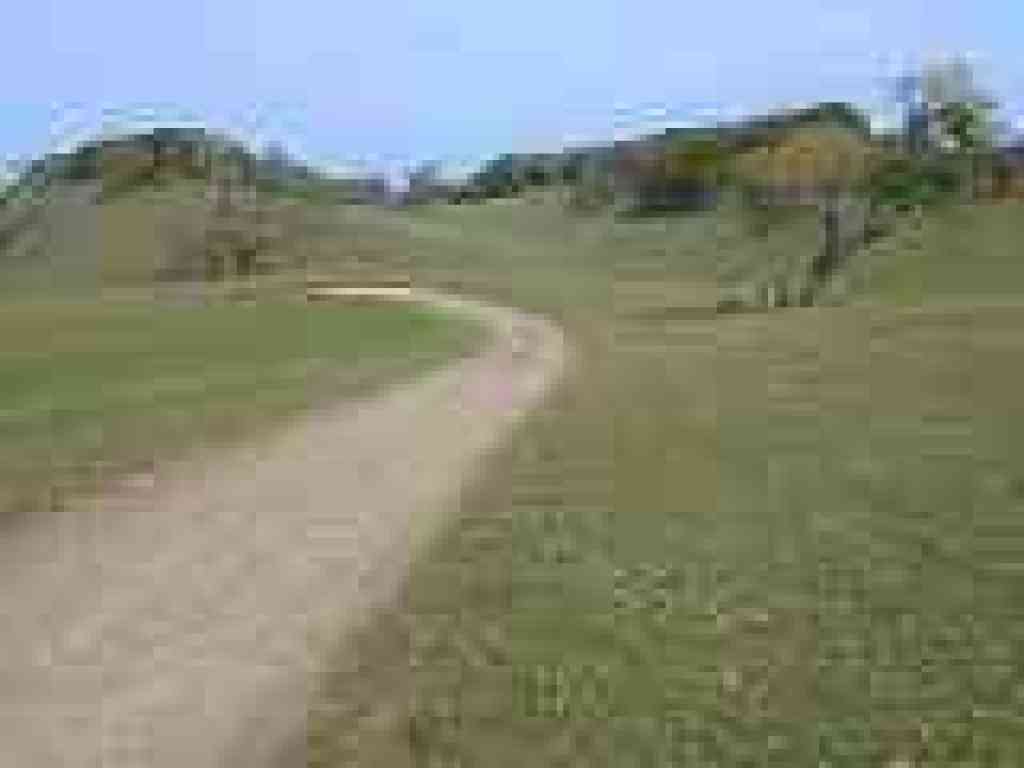 Blue Oak Trail