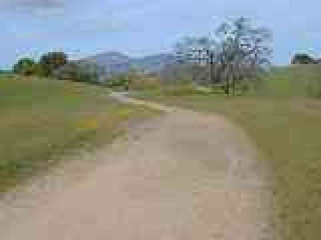 Morgan Territory