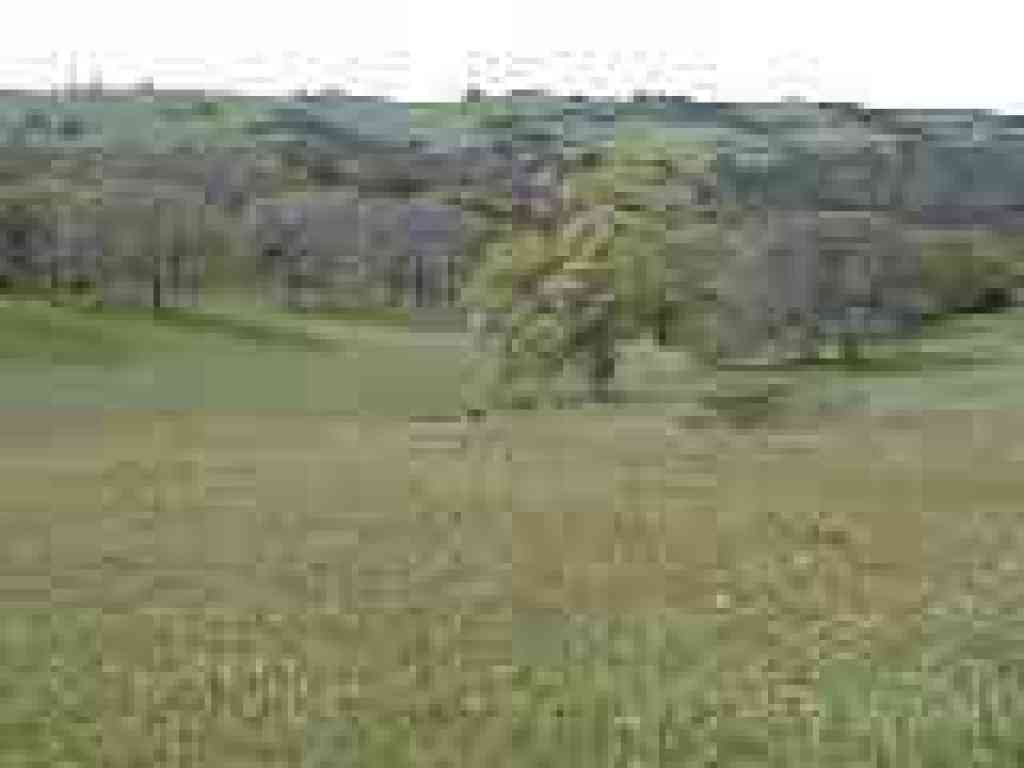 View west