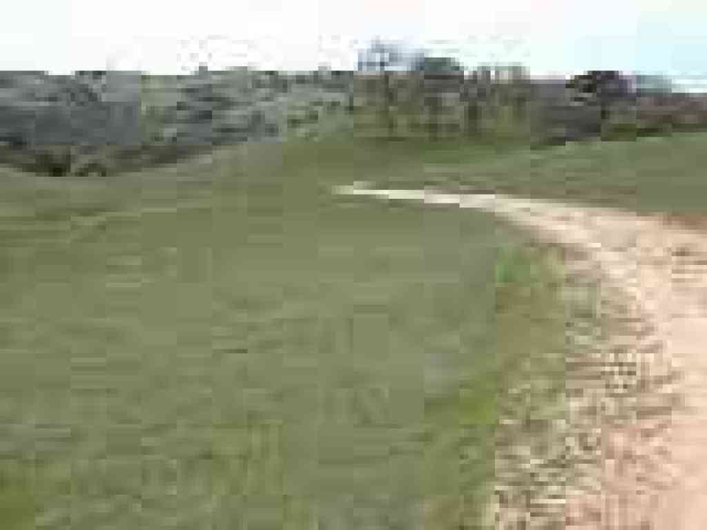 Blue Oak Trail