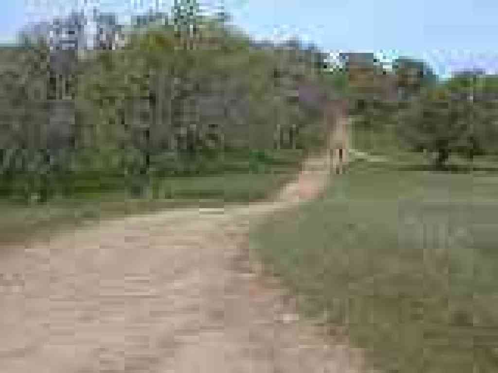 Approaching junction