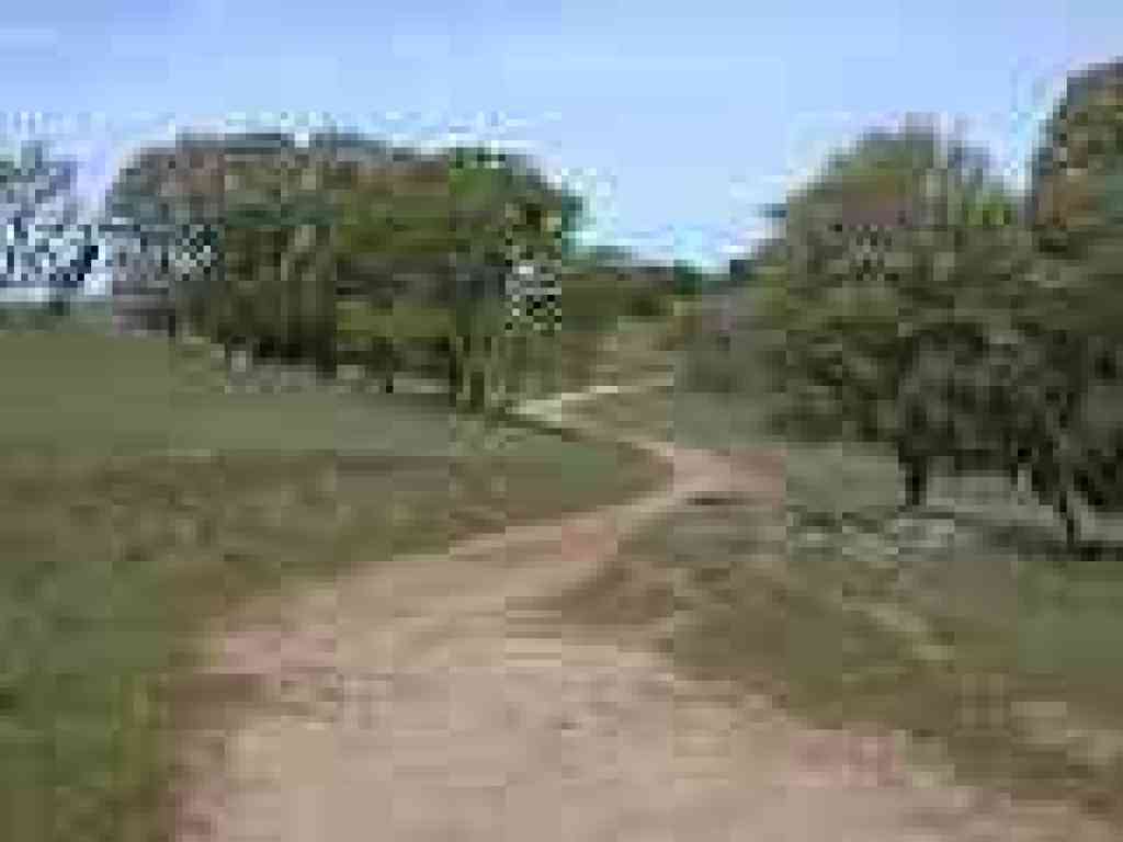 Volvon Trail