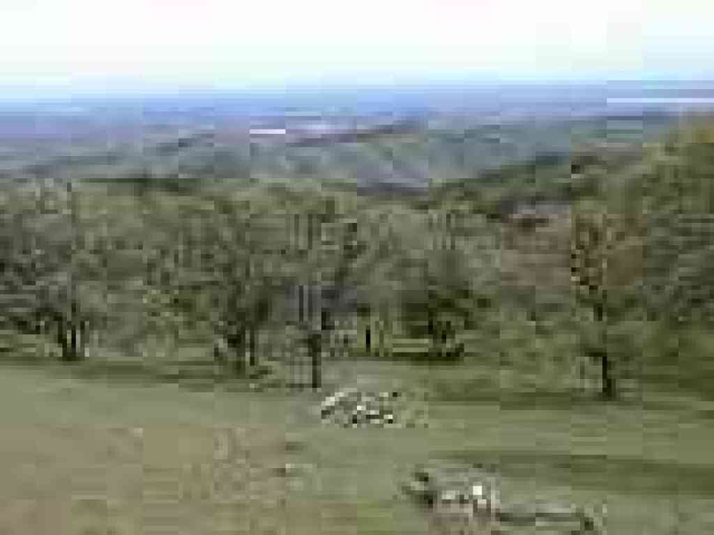 View east