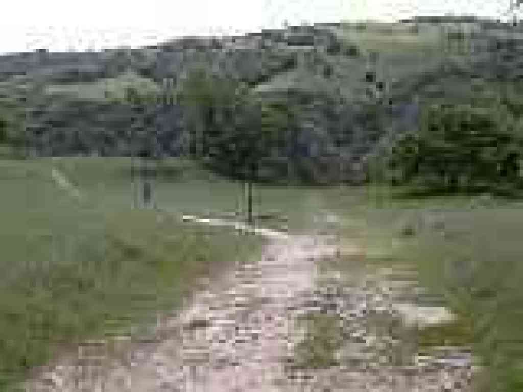 Junction