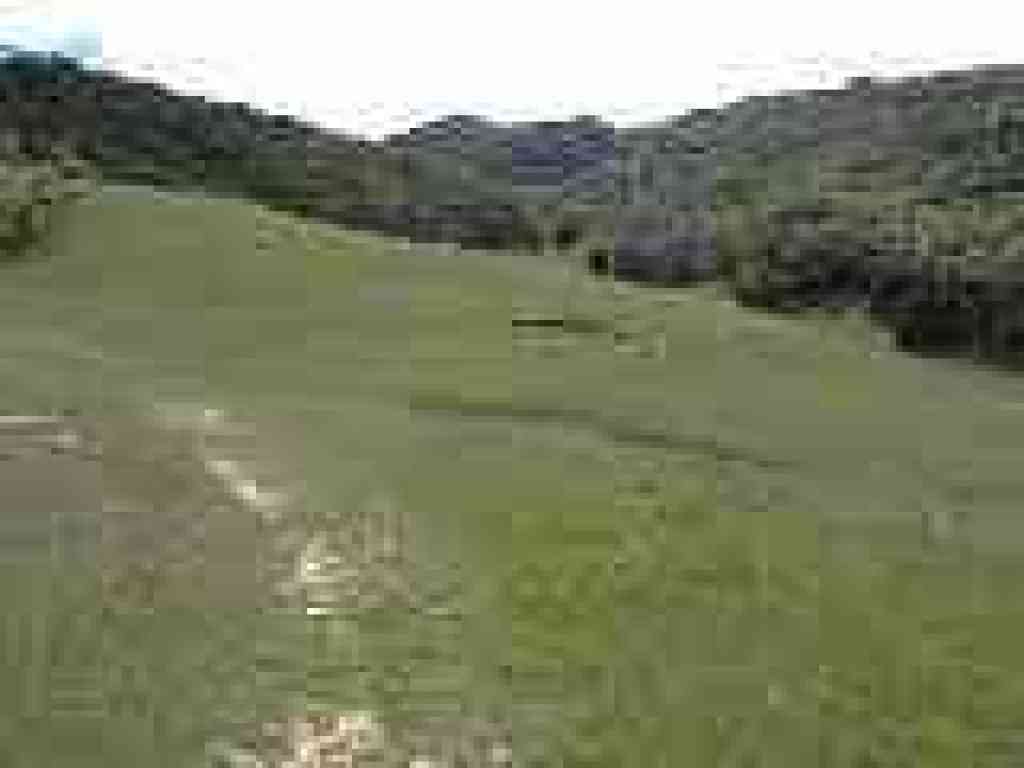 Coyote Trail