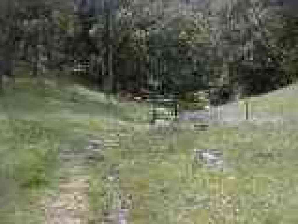 Cattle gate