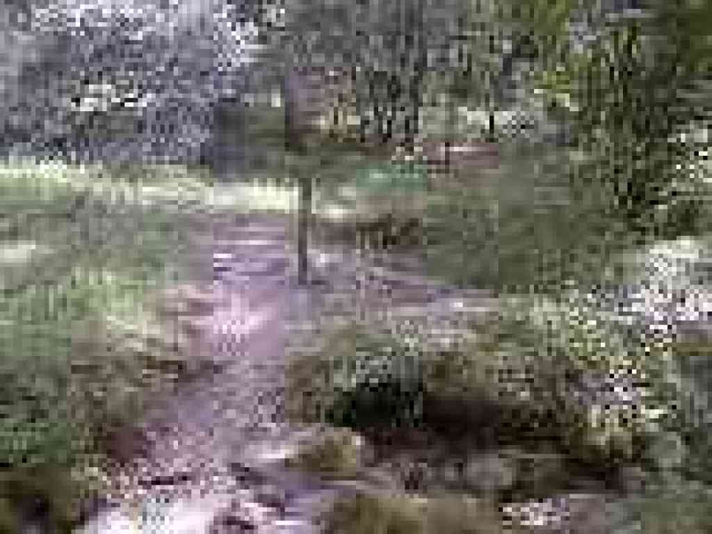 Junction