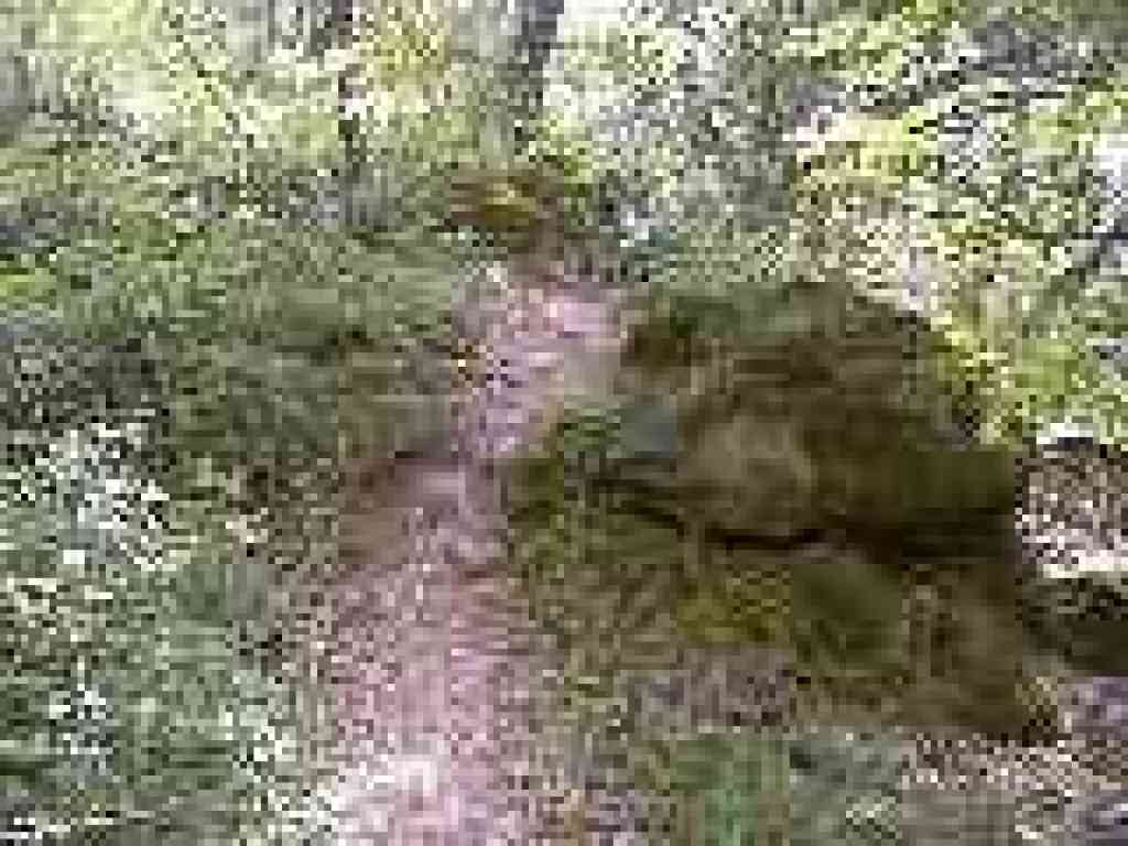 Steep