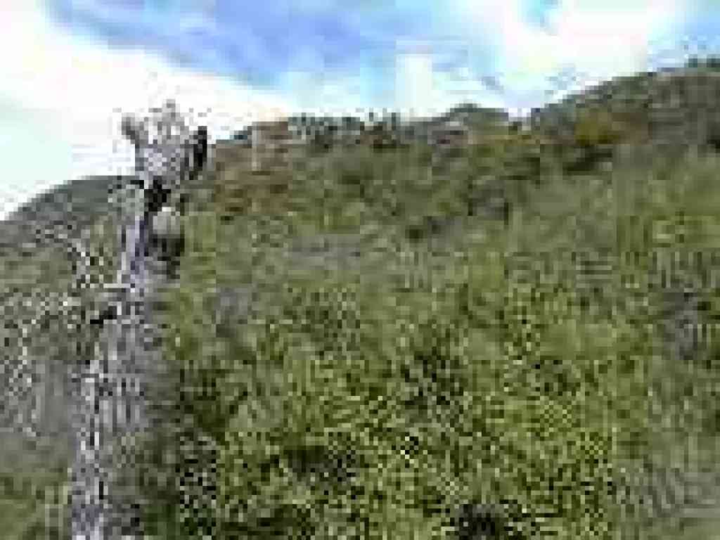 Rocks visible from the trail