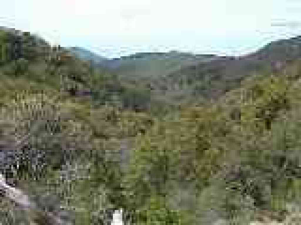 View back