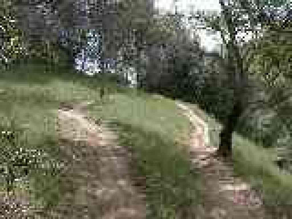 Climbing