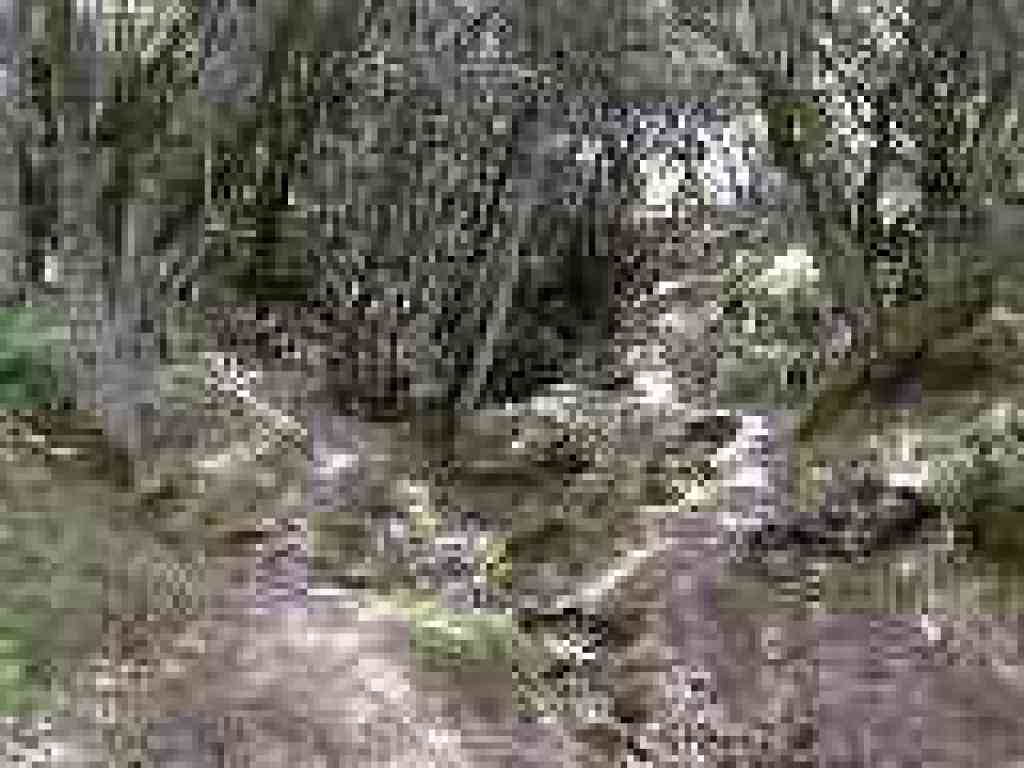 Creek crossing