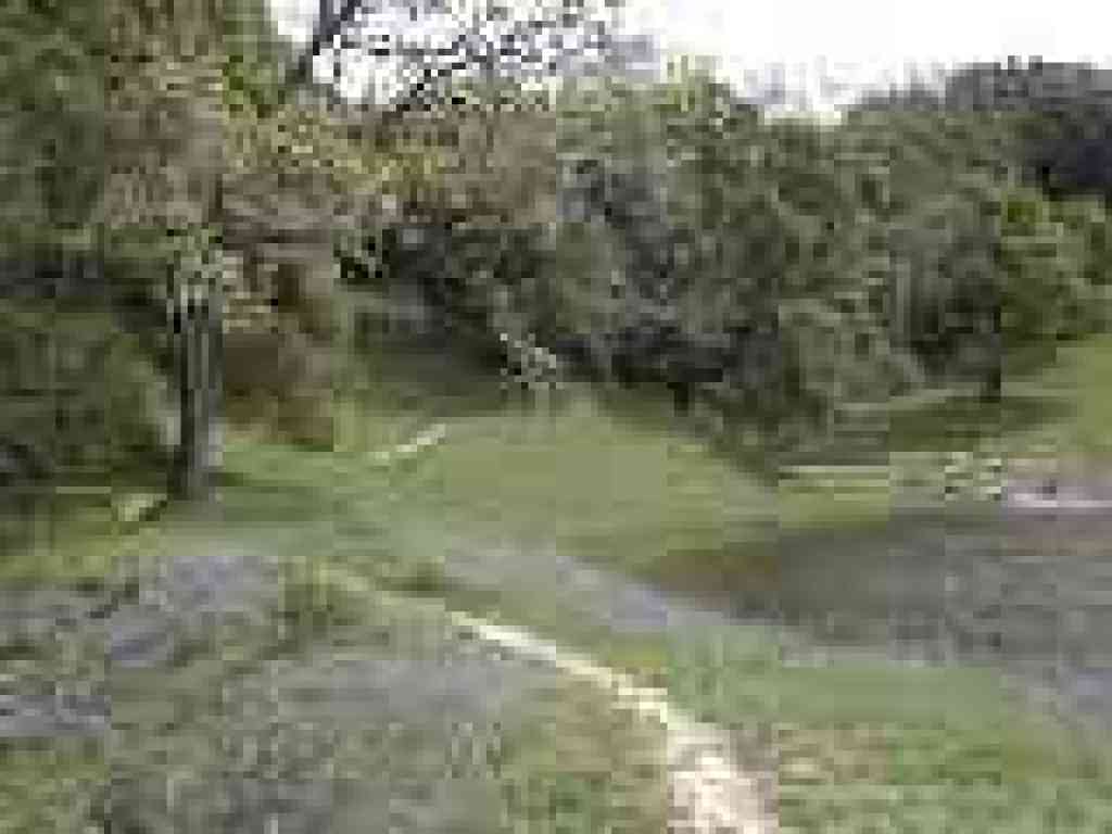 Past a pond