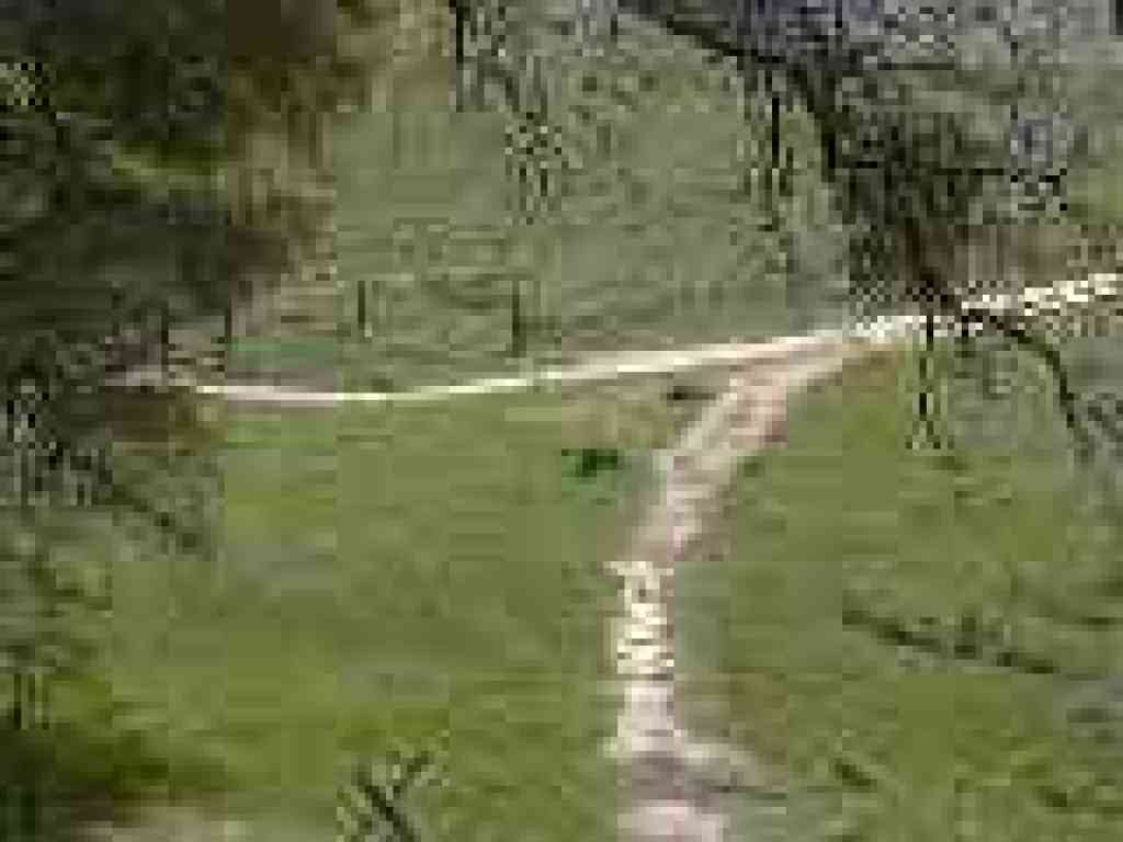Approaching junction