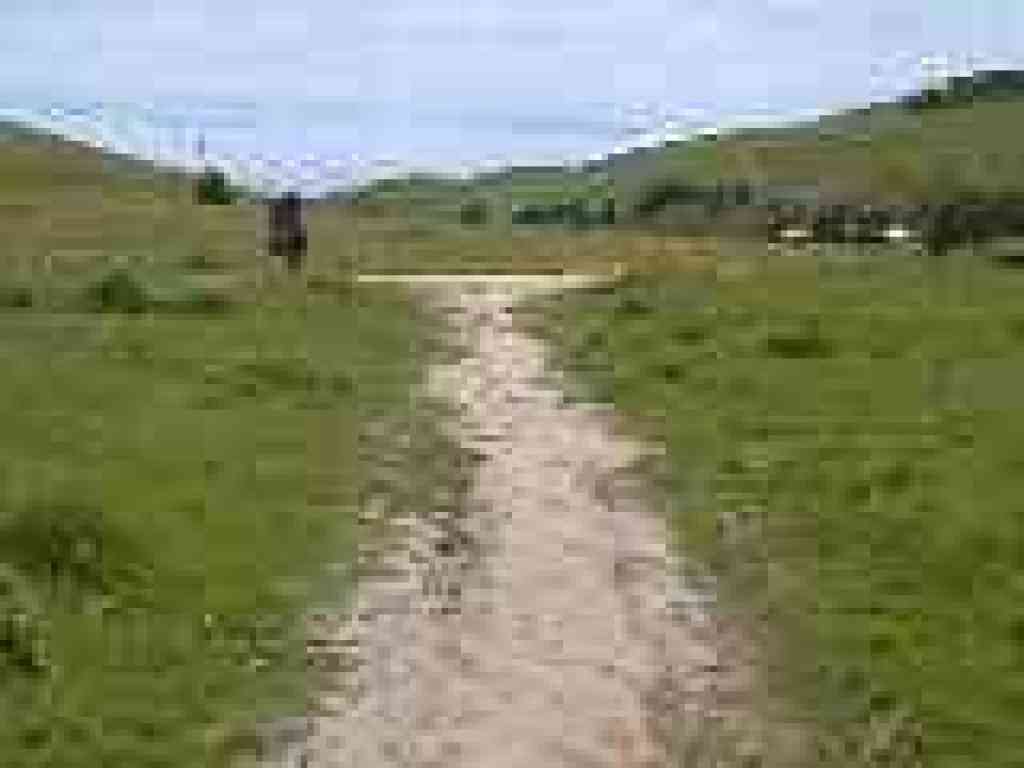 Junction