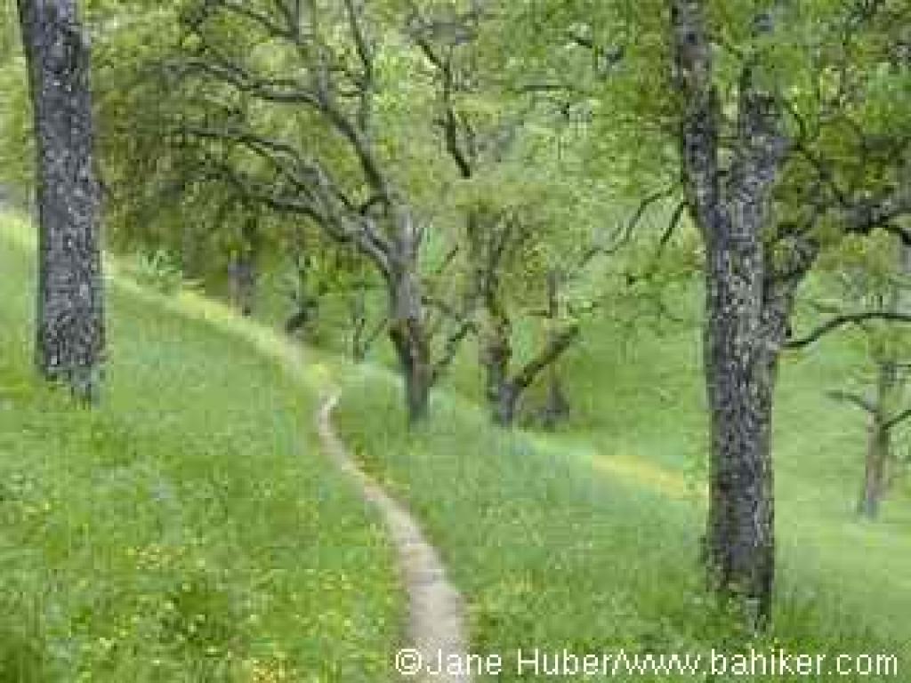 John Muir Nature Trail