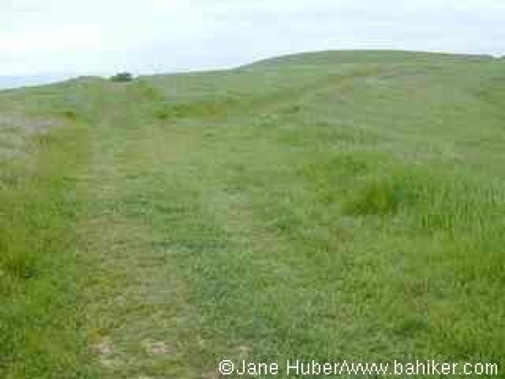 Fire roads on the hilltop