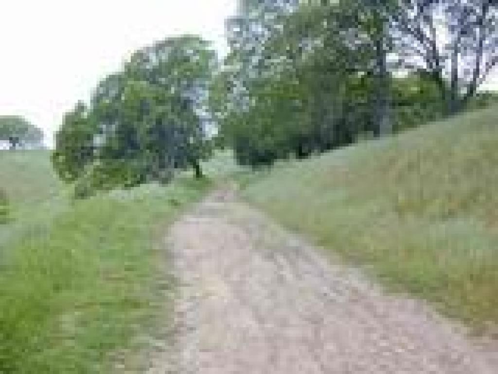 Entering an oak savannah