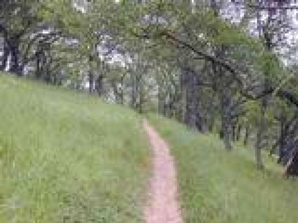 John Muir Nature Trail
