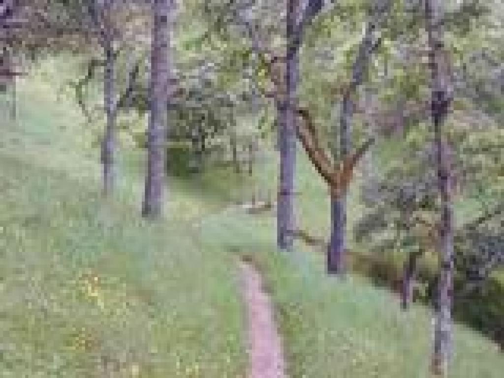 Brief descent