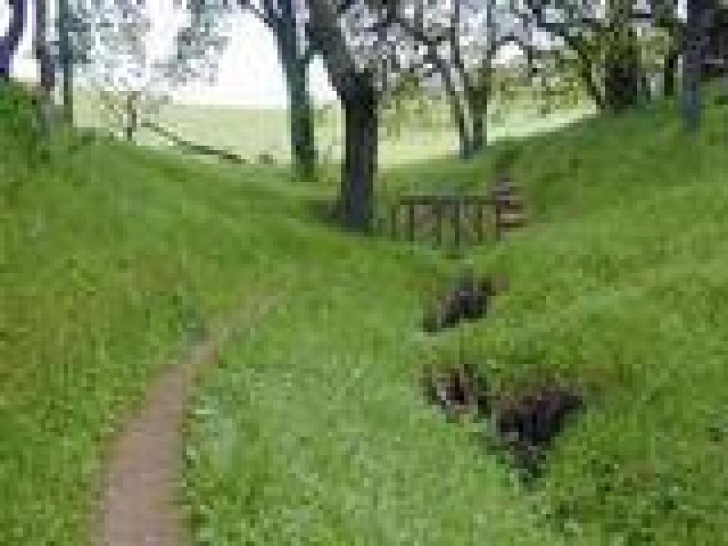 Along a seasonal stream