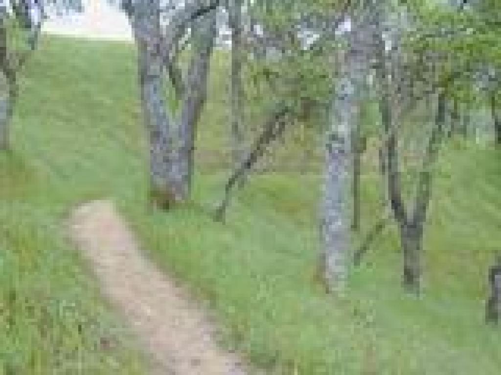 Near the end of the trail