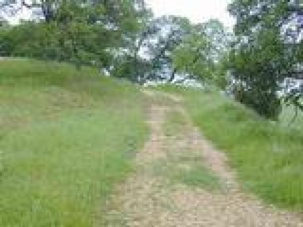 Fire road