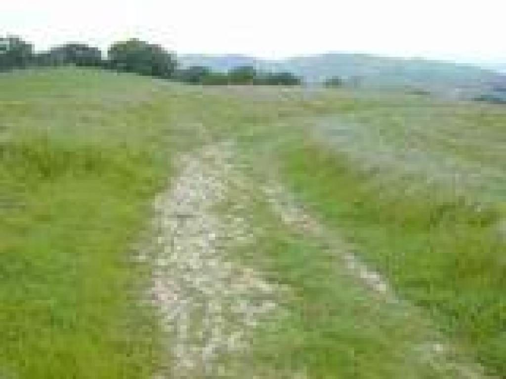 Heading back to the fire road