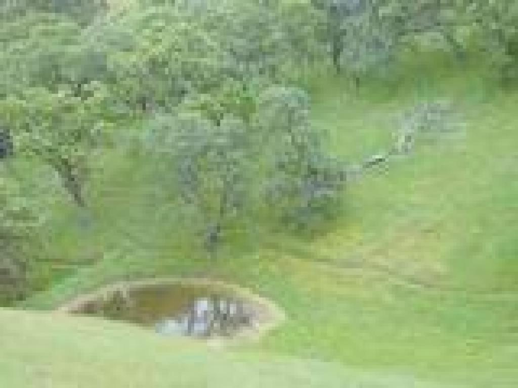 Little pond