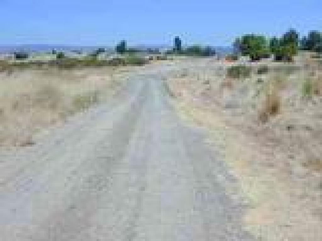 Trail