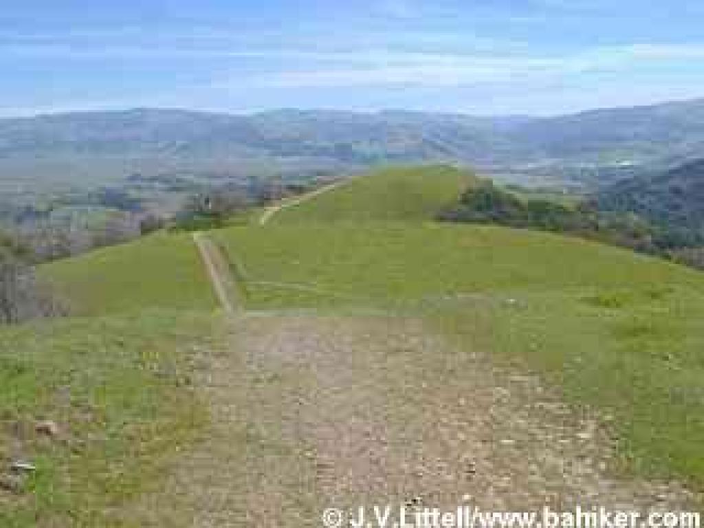 View from the crest