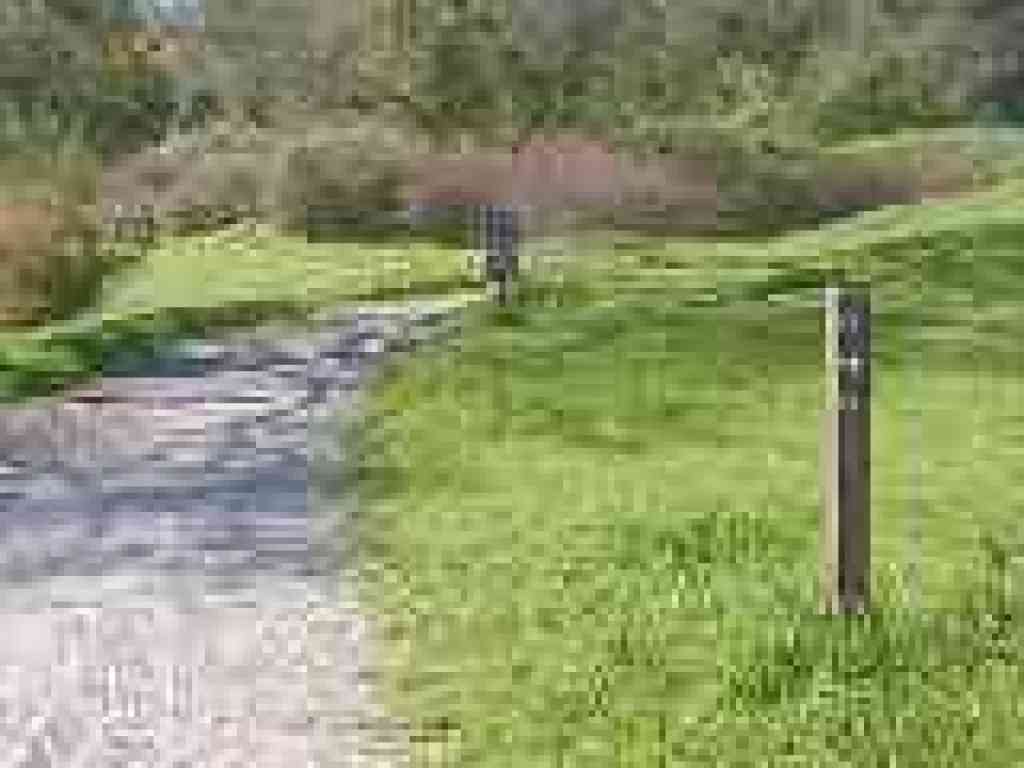 Oak Tree Trail