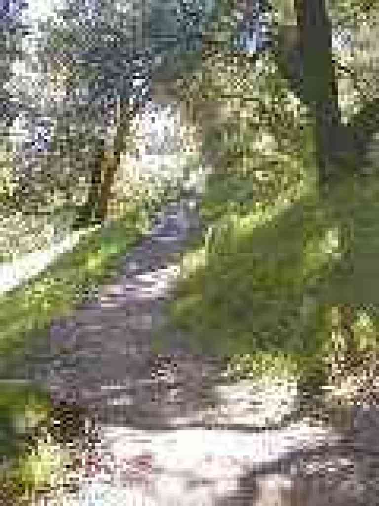 Under oaks