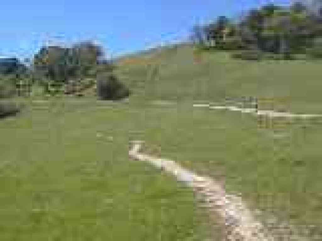Running along Oak Tree Trail