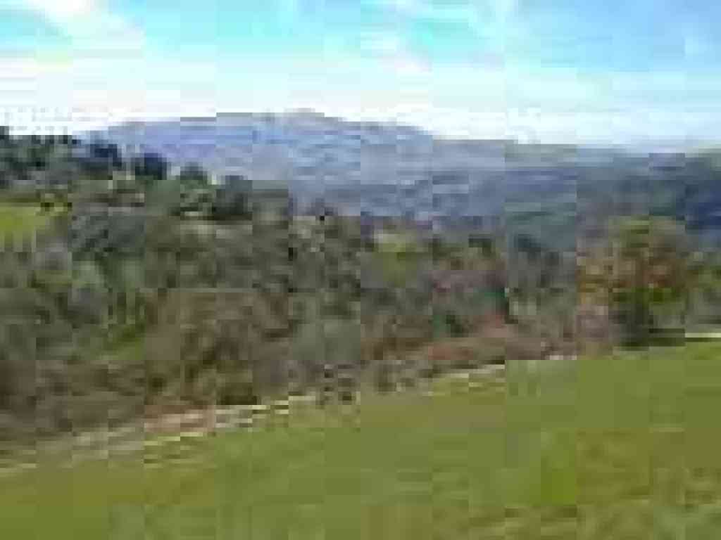 View south