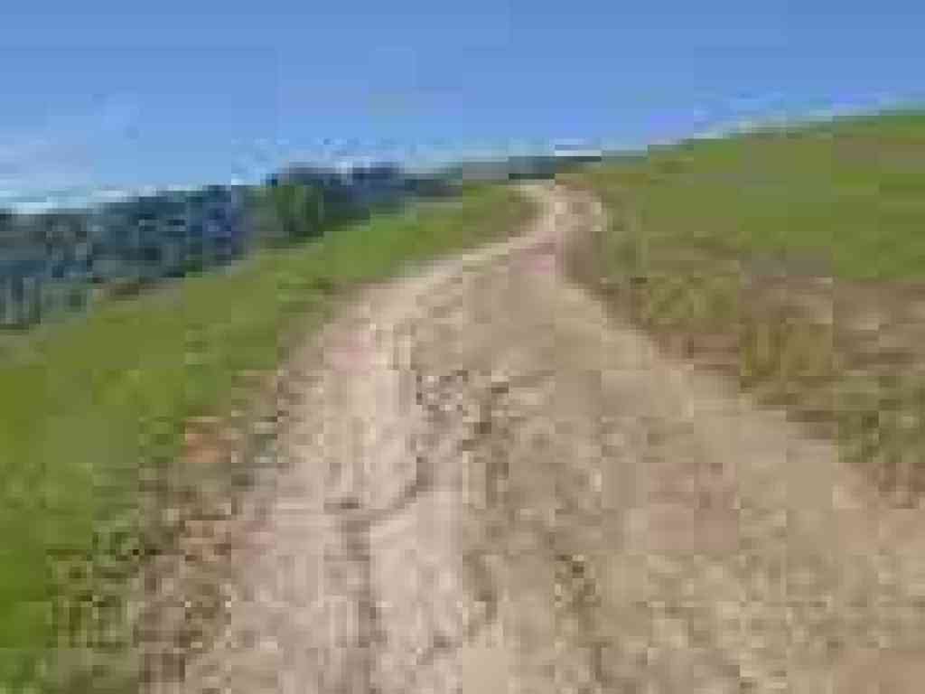 Ridgeline Trail