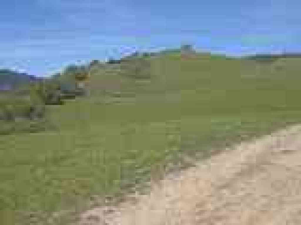 Hillside