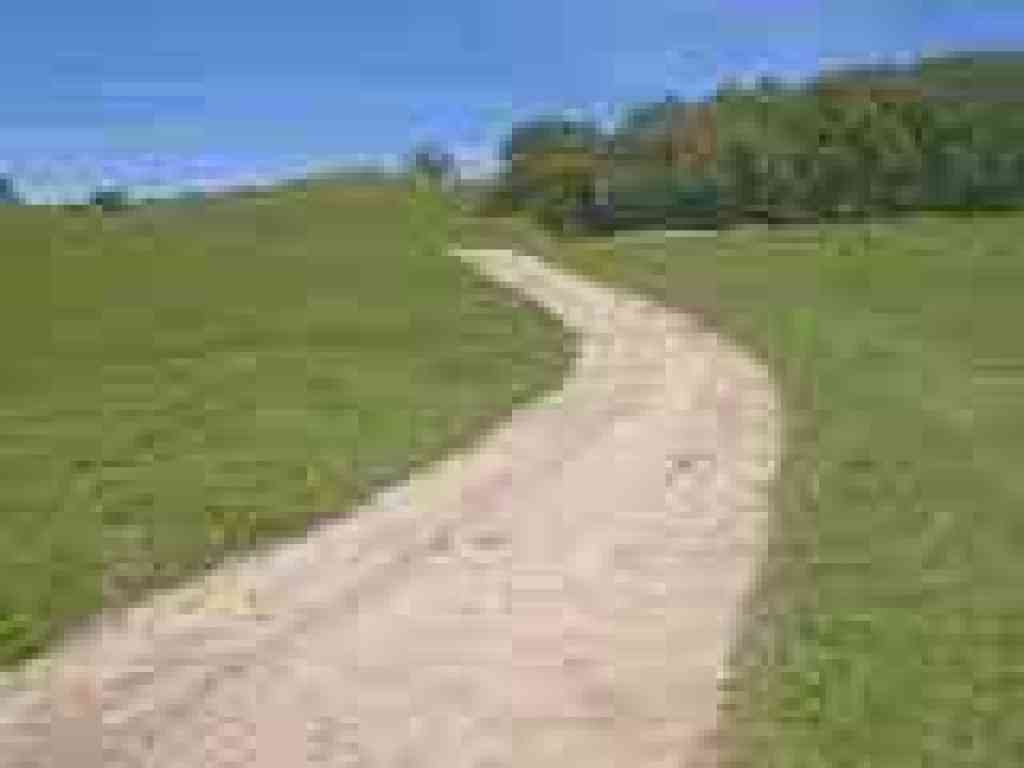 Edging along olive grove