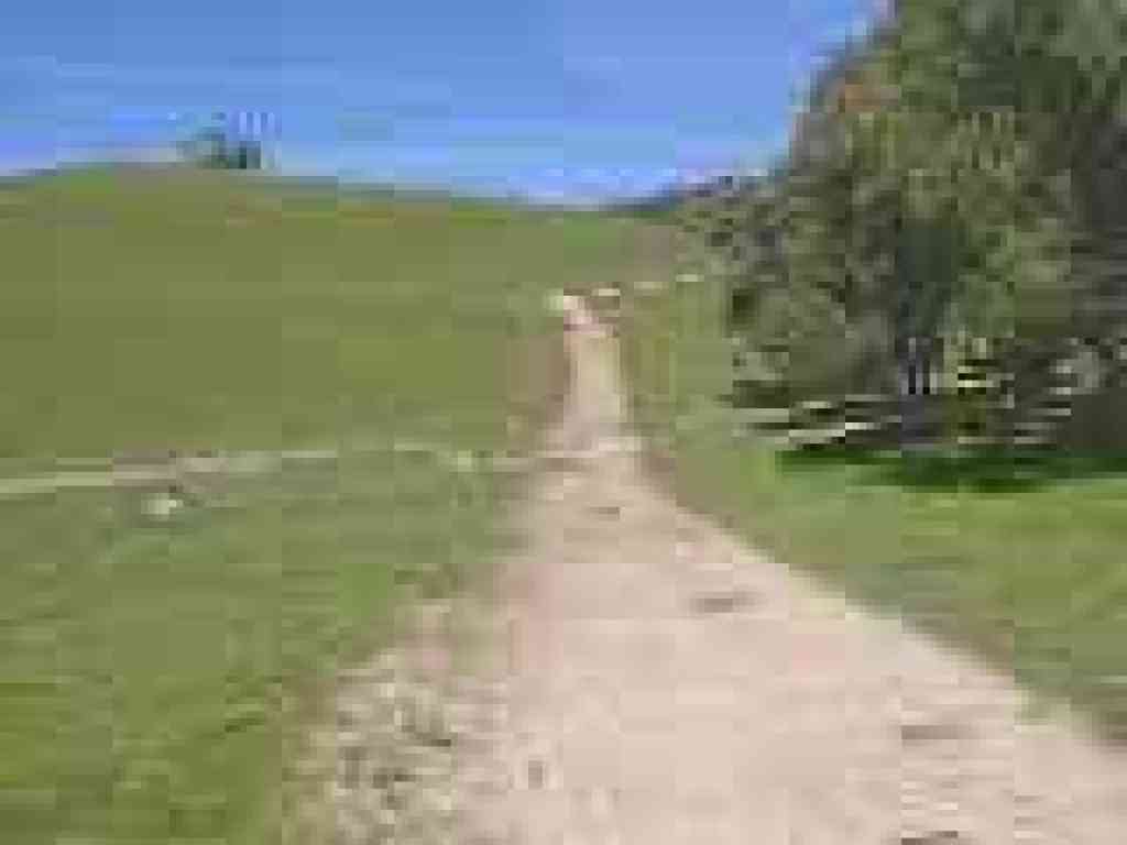 Junction with Olive Grove Trail