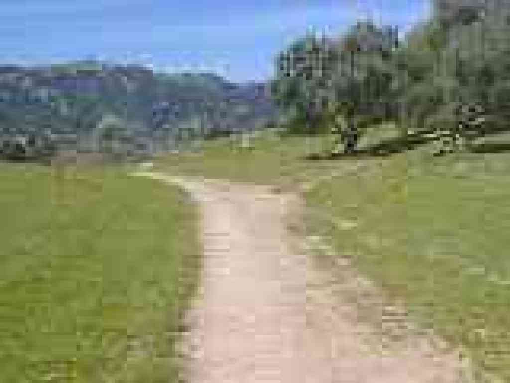 Junction