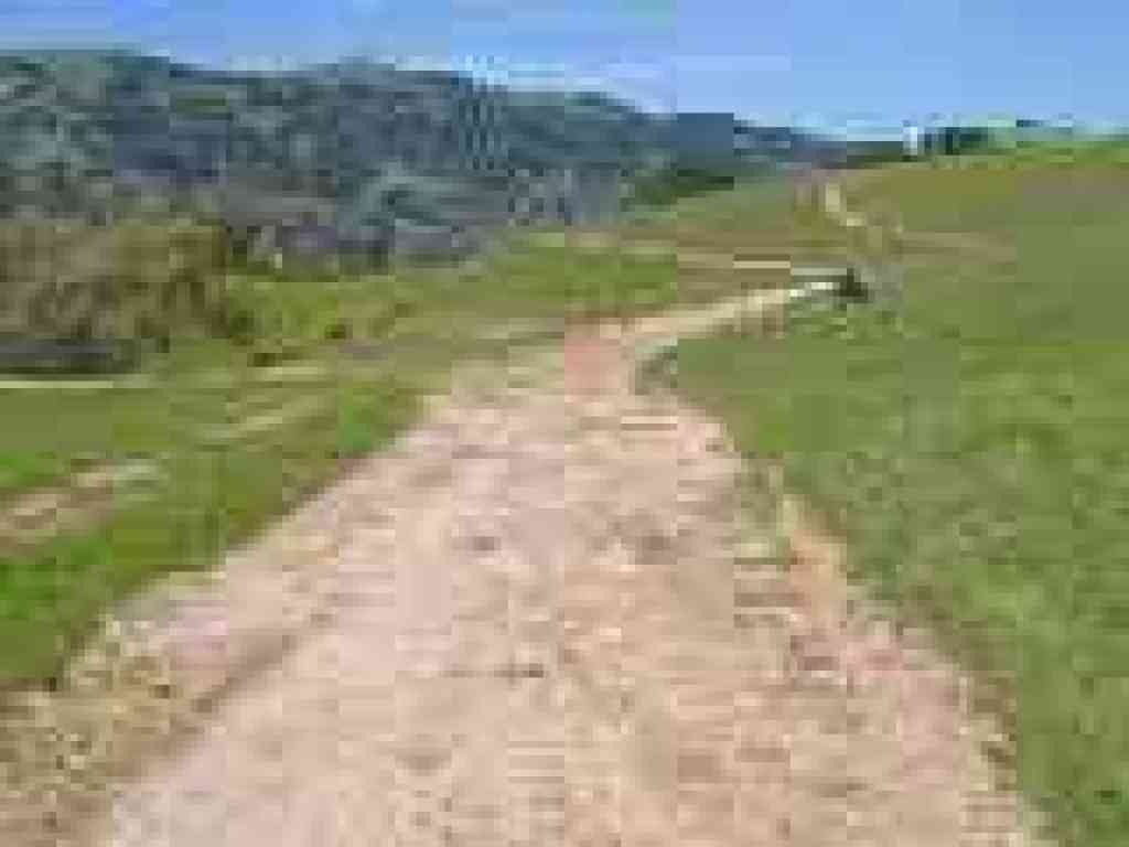 Junction