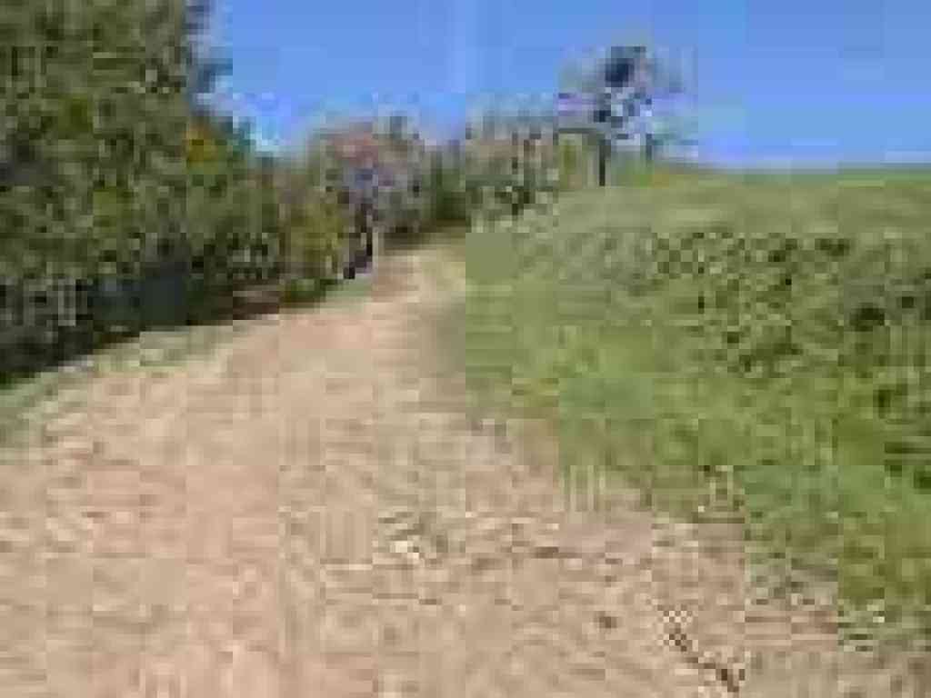 Thermalito Trail
